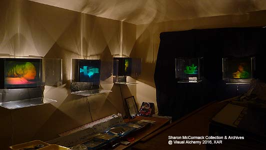 Sharon McCormack Collection of multiplex holographic stereograms - sample pre-installation view photo by XAR3D