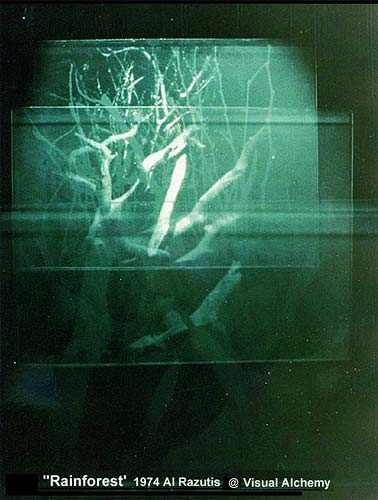RAINFOREST - 3 plate transmission hologram - 1974