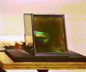 Venus 1976 hologram and sculpture by Becky Deem