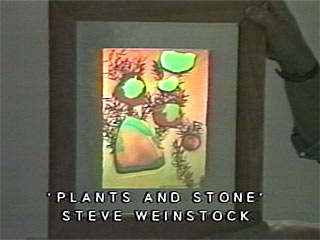Plants and Stone hologram by Steve Weinstock