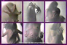 click/enlarge - Virtual Flesh stereoscopic 3D by Al Razutis 1996