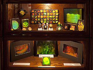 click/enlarge Room 2  Gary Cullen Holocrafts details