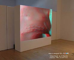 'Virtual Flesh' stereoscopic 3D film by Al Razutis